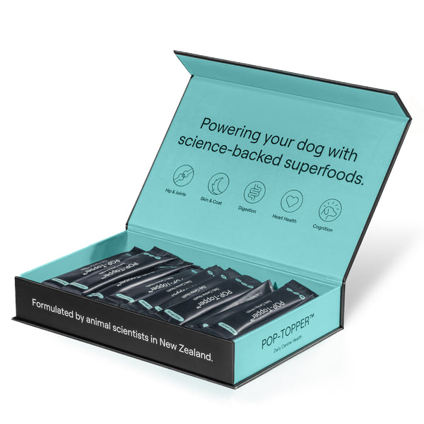 POP-Topper (Small Dog)